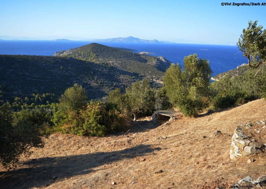 Ancient Stone Foundations Beneath Olive Trees at Poseidon s Sanctuary, Poros Island