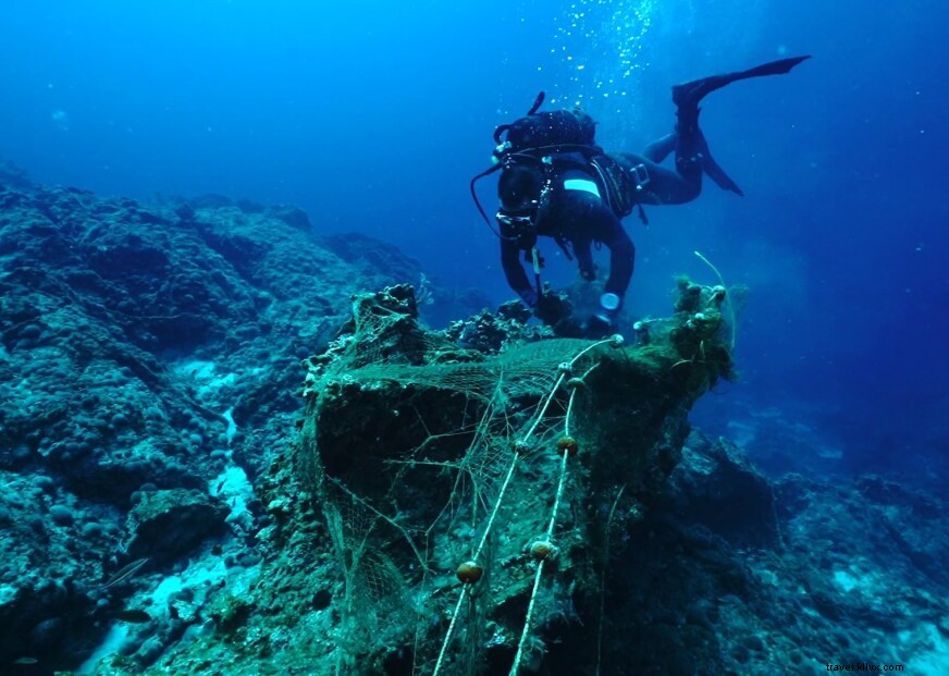 BlueCycle: Pioneering Marine Plastic Waste Recycling for a Circular Economy