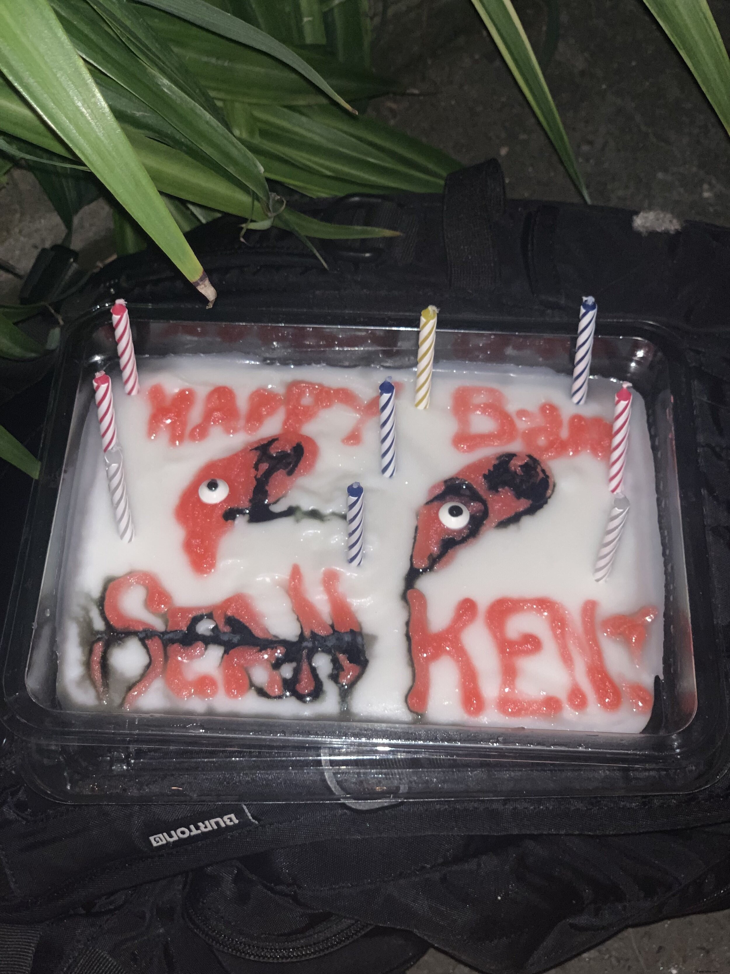 30th Birthday Adventure in Oahu: Squid Research, Waterfalls & Karaoke