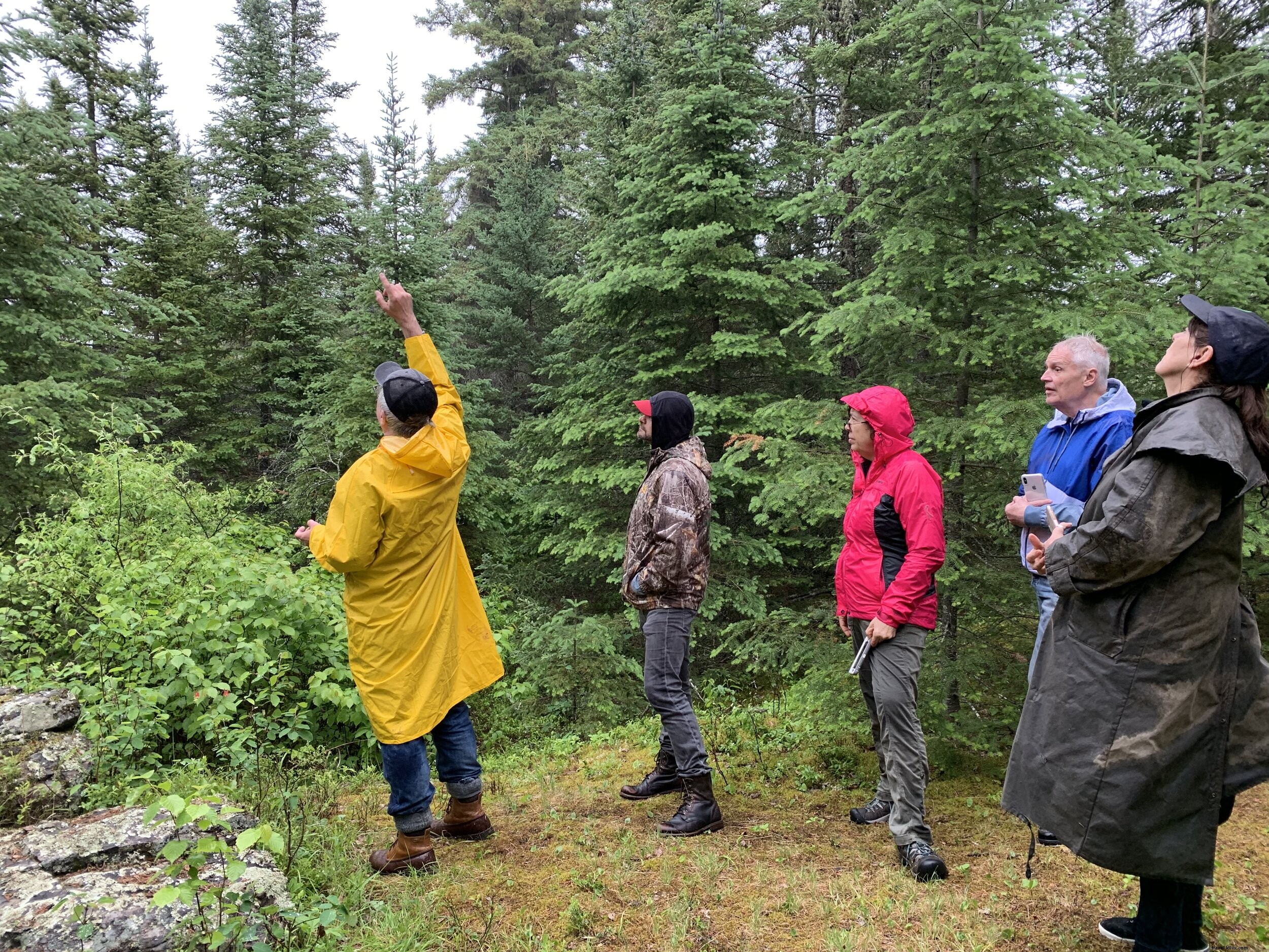 Exploring Falcon Lake, Manitoba: A Horseback Adventure Amid UFO Mysteries