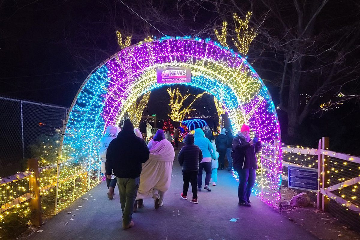 43 Unforgettable Christmas Light Shows You Must See This Holiday Season