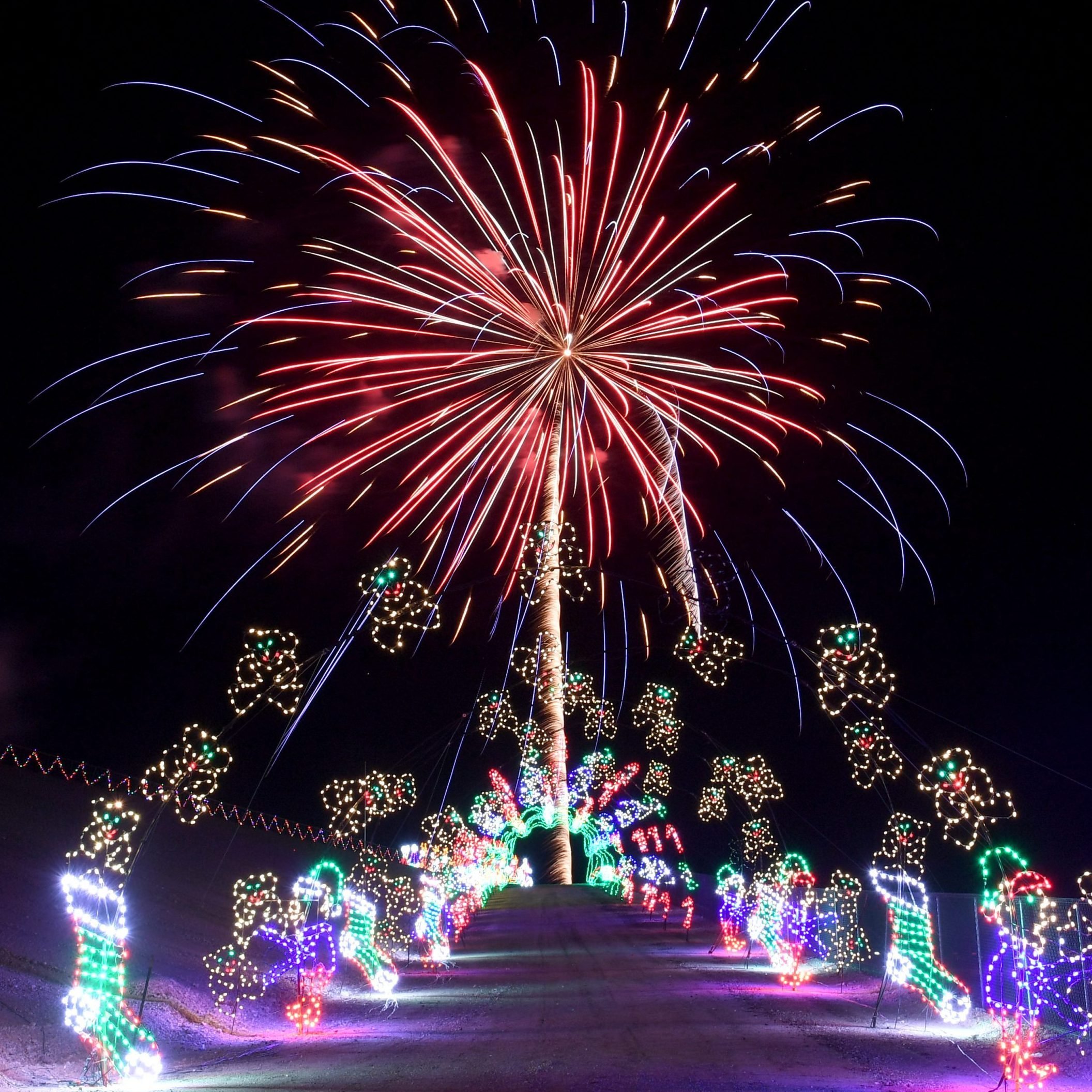 43 Unforgettable Christmas Light Shows You Must See This Holiday Season