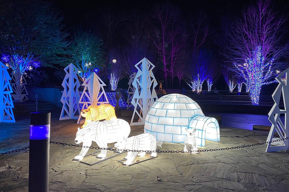 43 Unforgettable Christmas Light Shows You Must See This Holiday Season