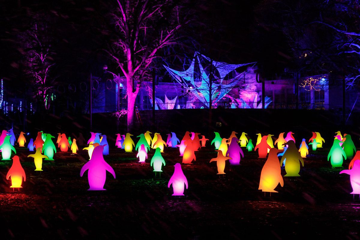 43 Unforgettable Christmas Light Shows You Must See This Holiday Season