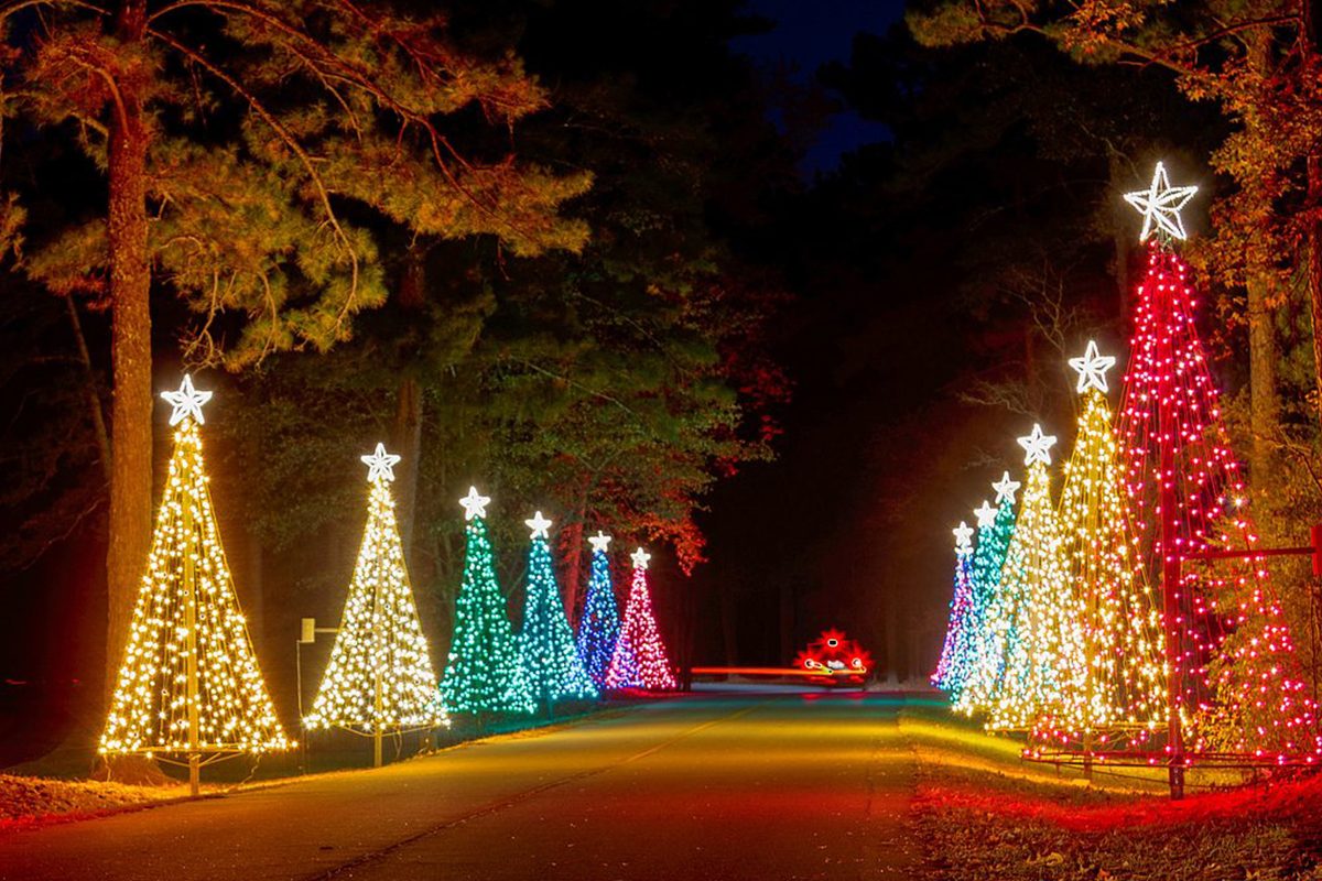 43 Unforgettable Christmas Light Shows You Must See This Holiday Season