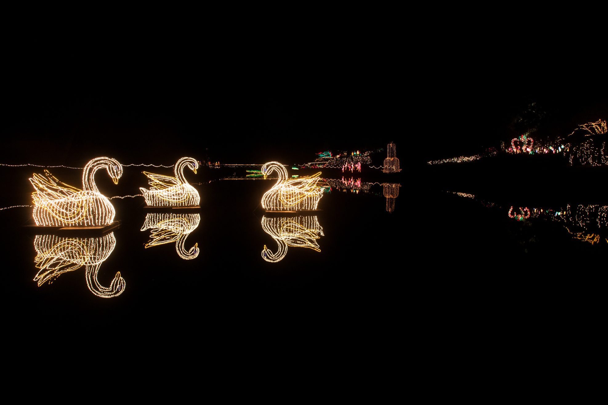 43 Unforgettable Christmas Light Shows You Must See This Holiday Season