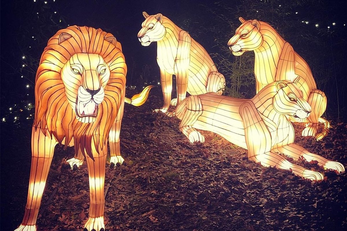 43 Unforgettable Christmas Light Shows You Must See This Holiday Season