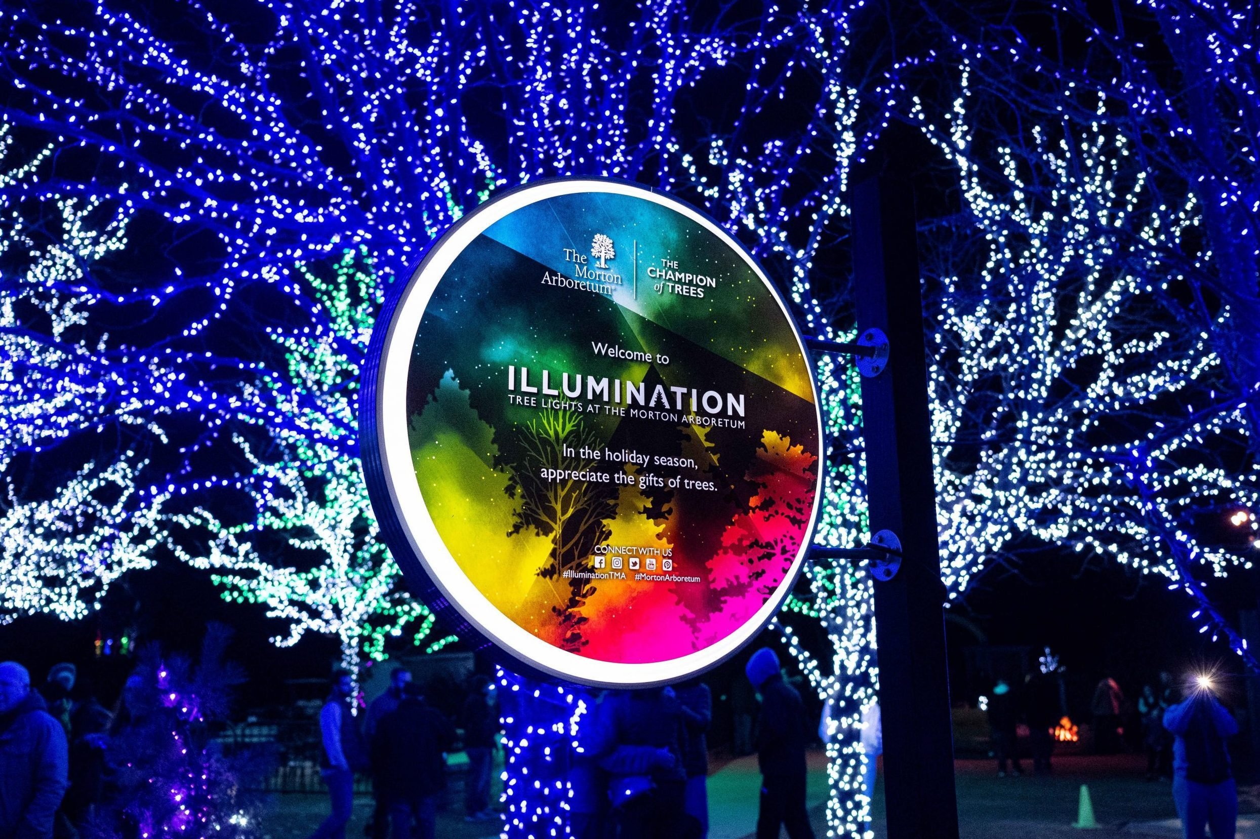 43 Unforgettable Christmas Light Shows You Must See This Holiday Season