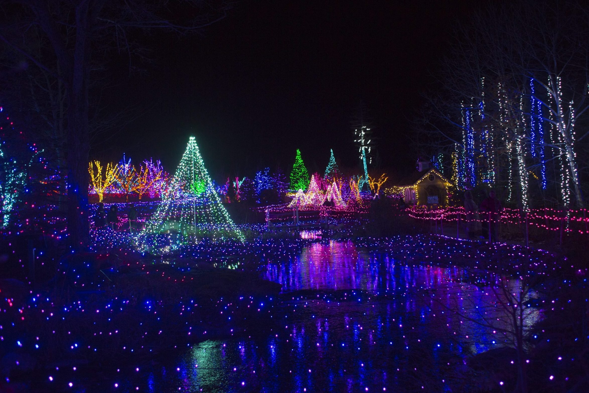 43 Unforgettable Christmas Light Shows You Must See This Holiday Season