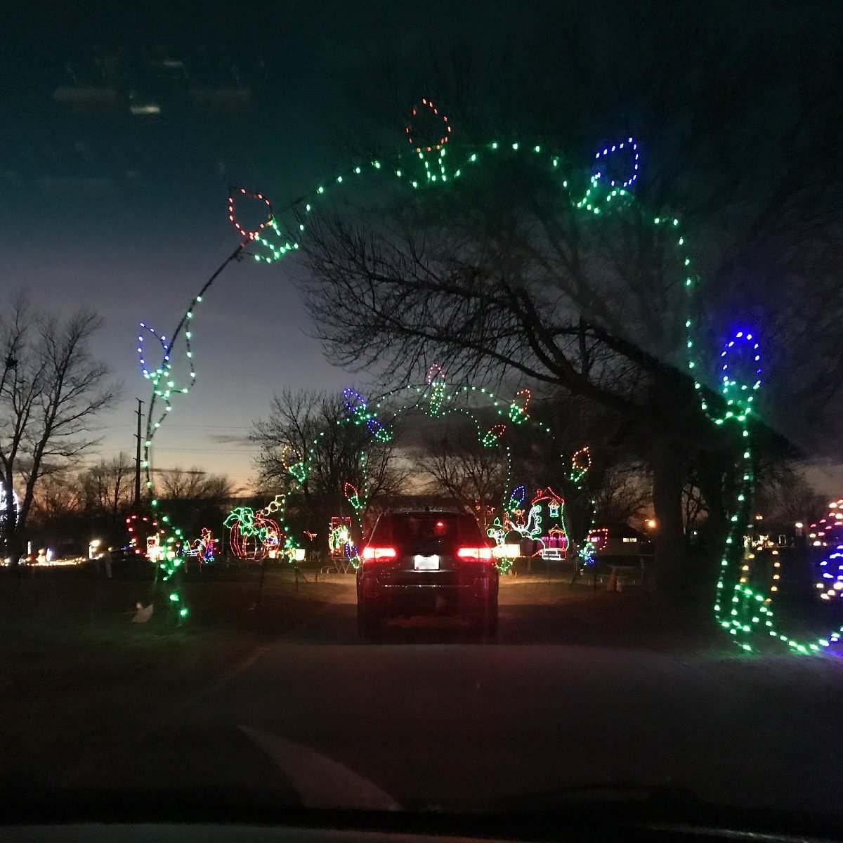 43 Unforgettable Christmas Light Shows You Must See This Holiday Season