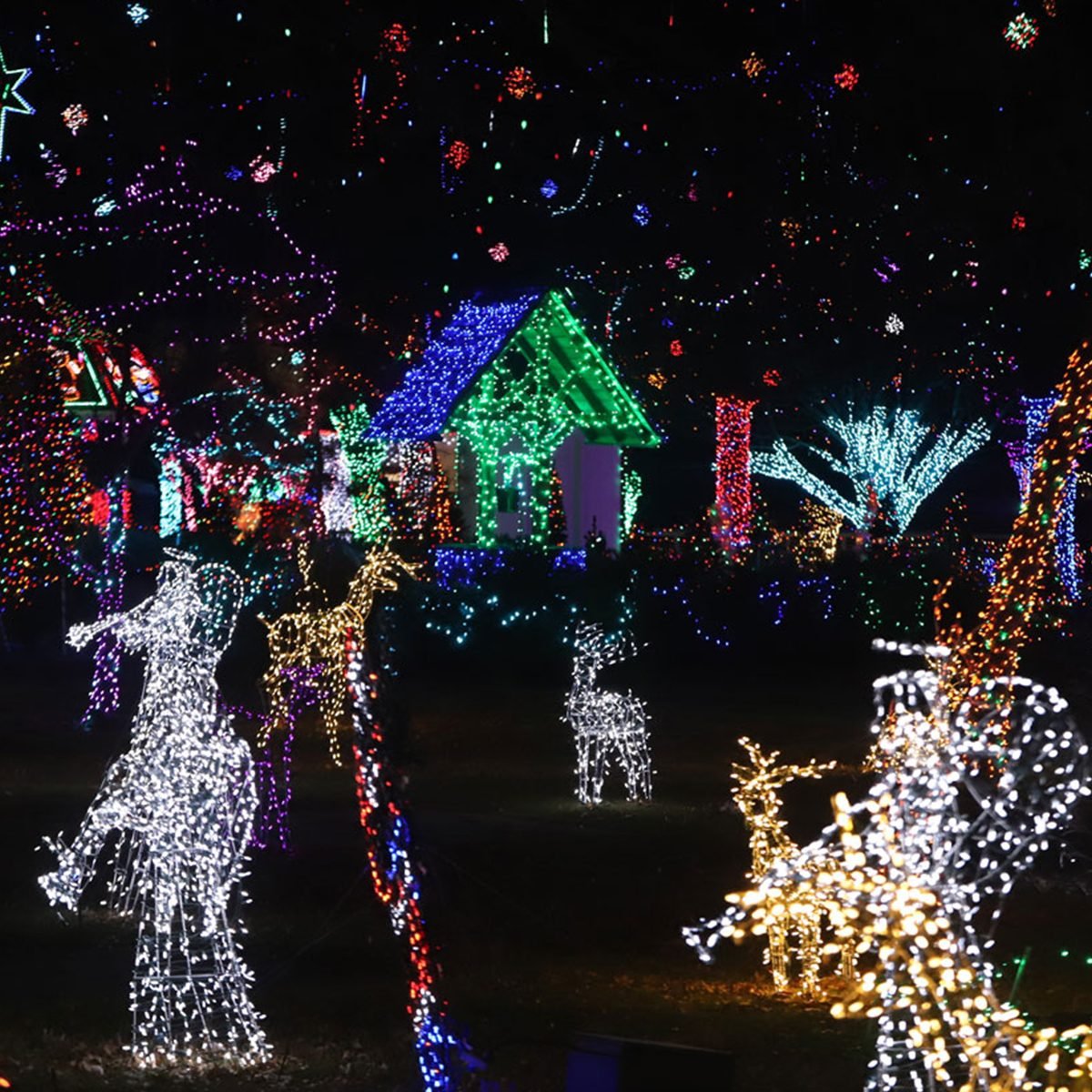 43 Unforgettable Christmas Light Shows You Must See This Holiday Season