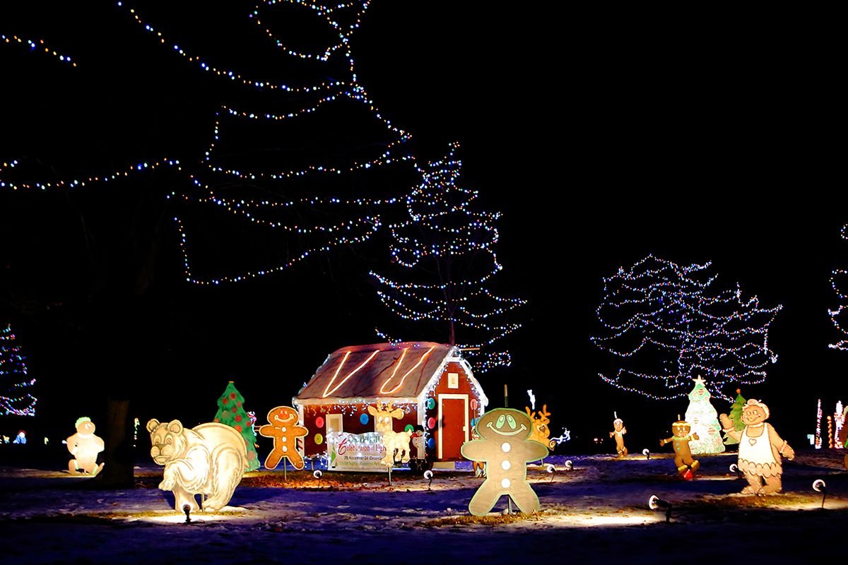 43 Unforgettable Christmas Light Shows You Must See This Holiday Season