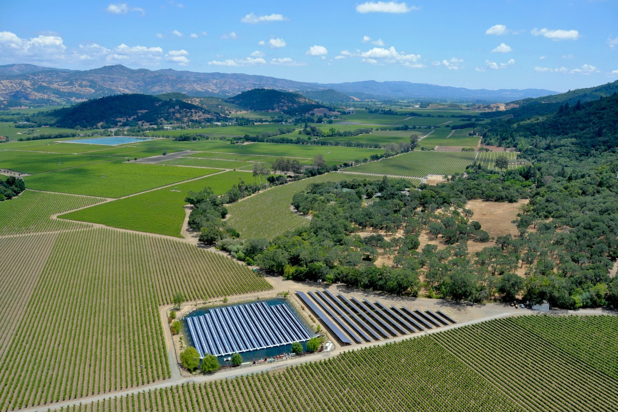 Explore the 12 Premier Napa Valley Wineries You Must Visit