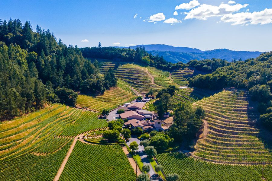 Explore the 12 Premier Napa Valley Wineries You Must Visit