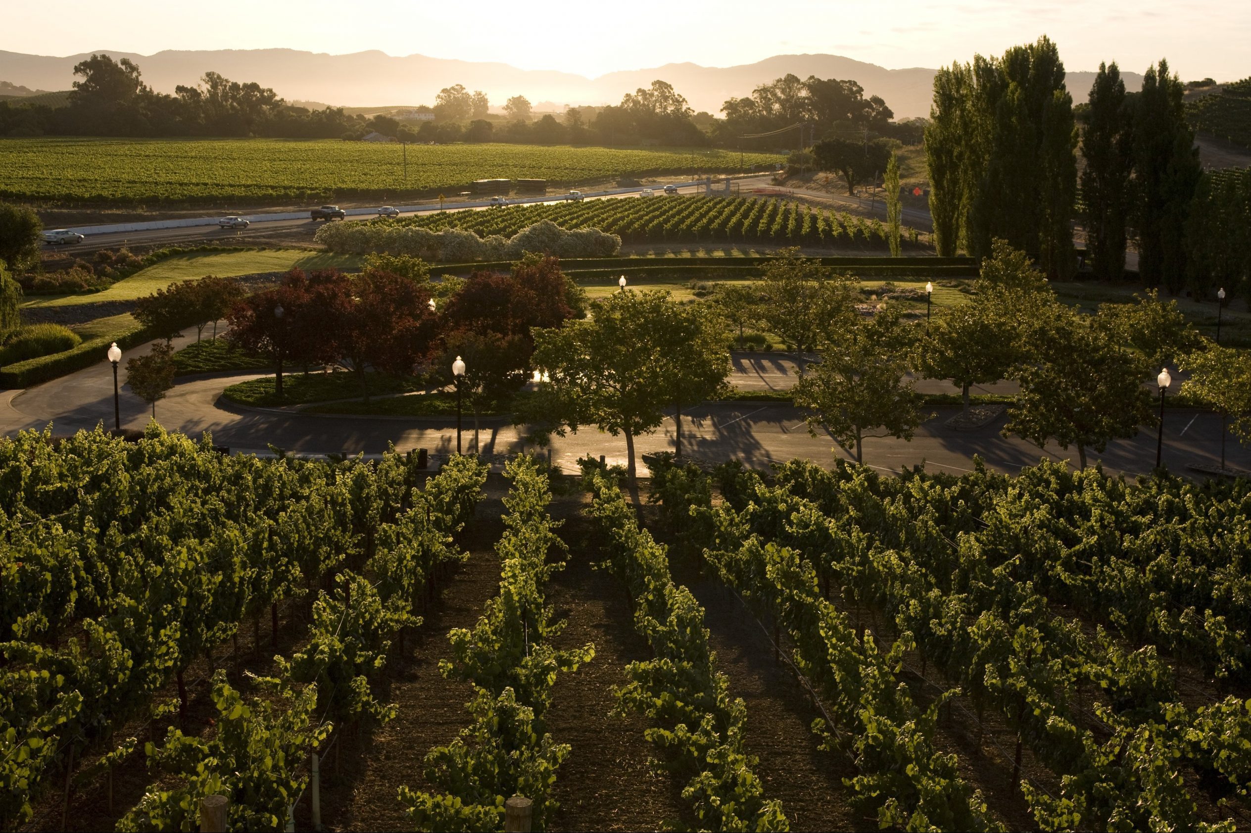 Explore the 12 Premier Napa Valley Wineries You Must Visit