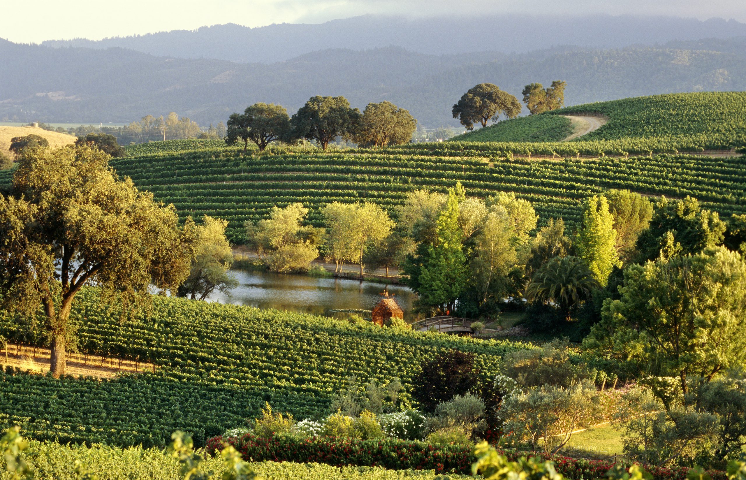 Explore the 12 Premier Napa Valley Wineries You Must Visit