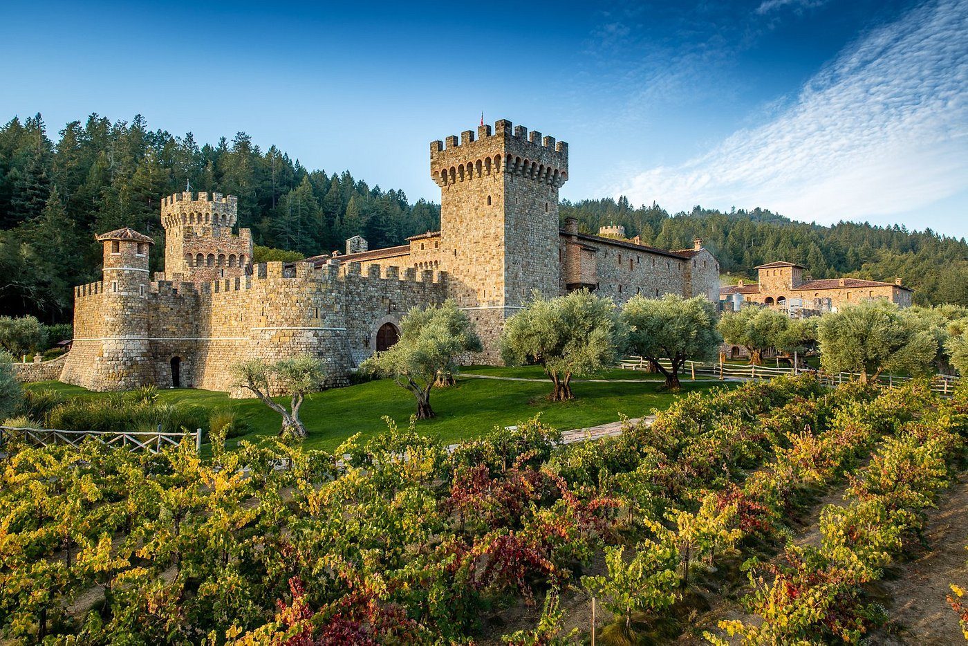 Explore the 12 Premier Napa Valley Wineries You Must Visit