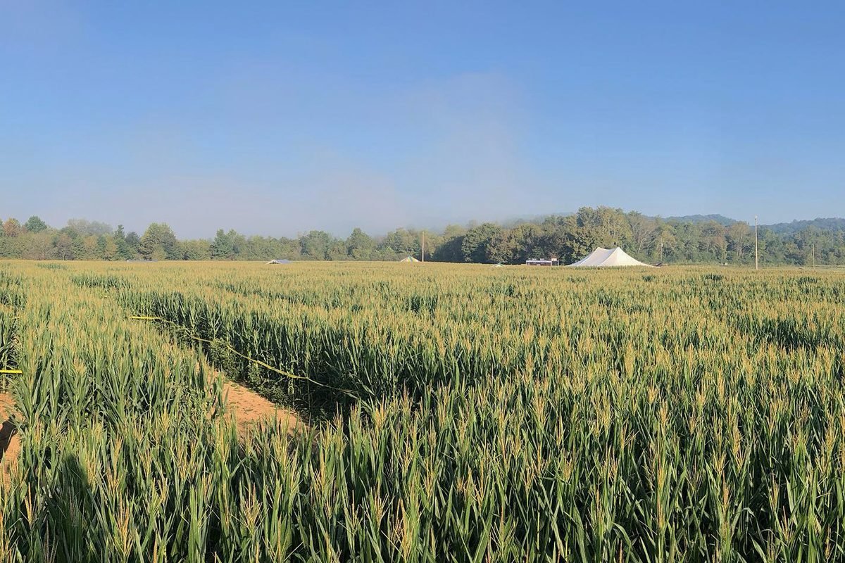 Top Pumpkin Patches Across Every U.S. State