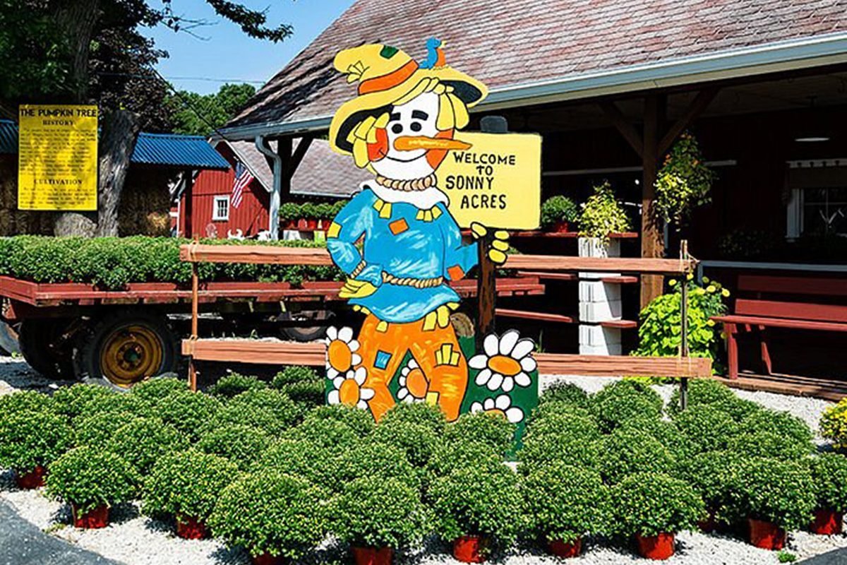 Top Pumpkin Patches Across Every U.S. State