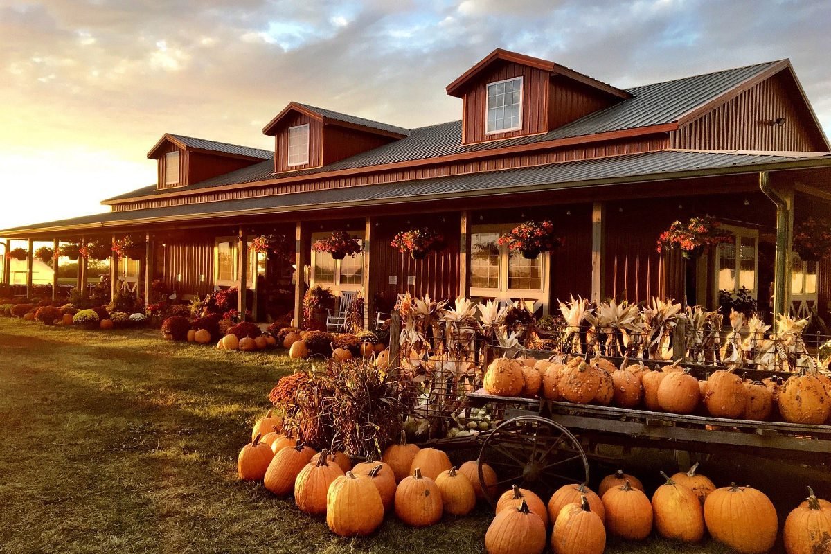 Top Pumpkin Patches Across Every U.S. State