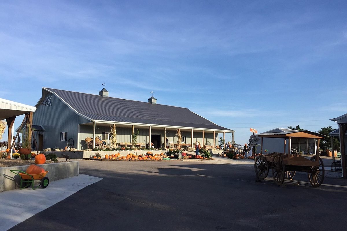 Top Pumpkin Patches Across Every U.S. State