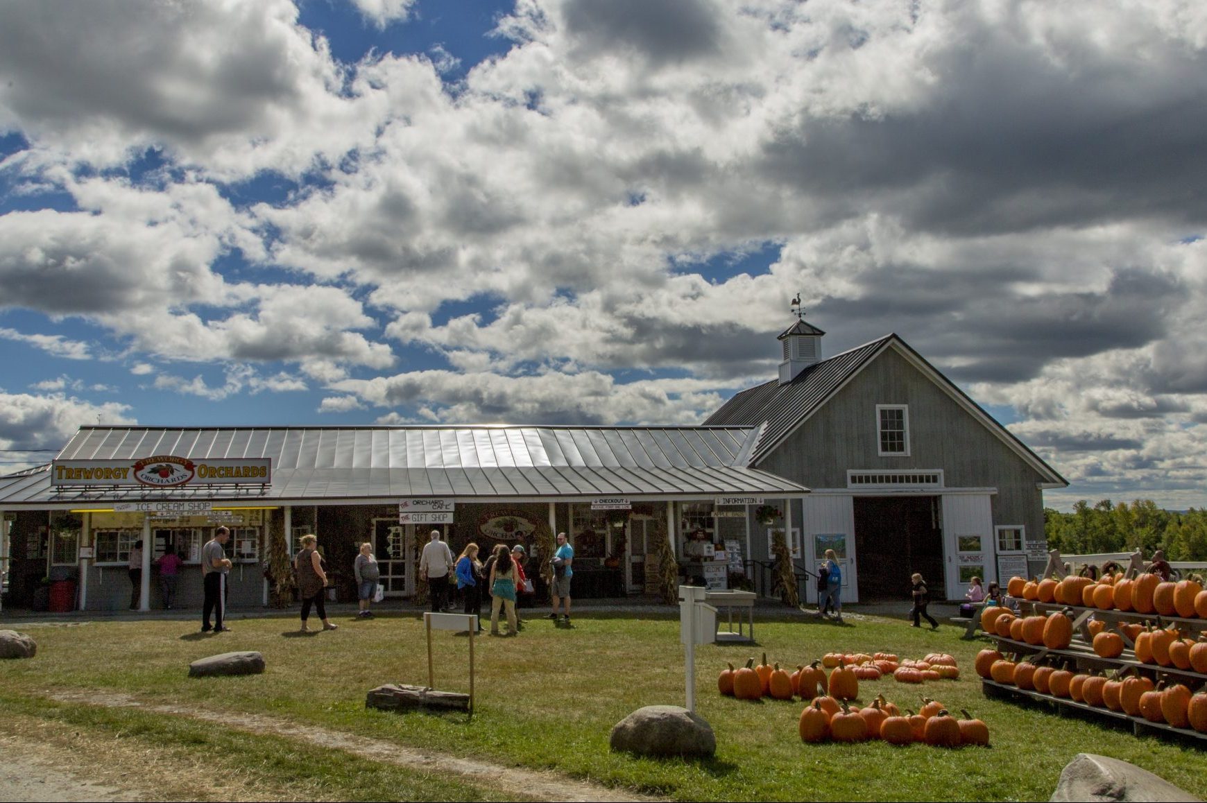 Top Pumpkin Patches Across Every U.S. State