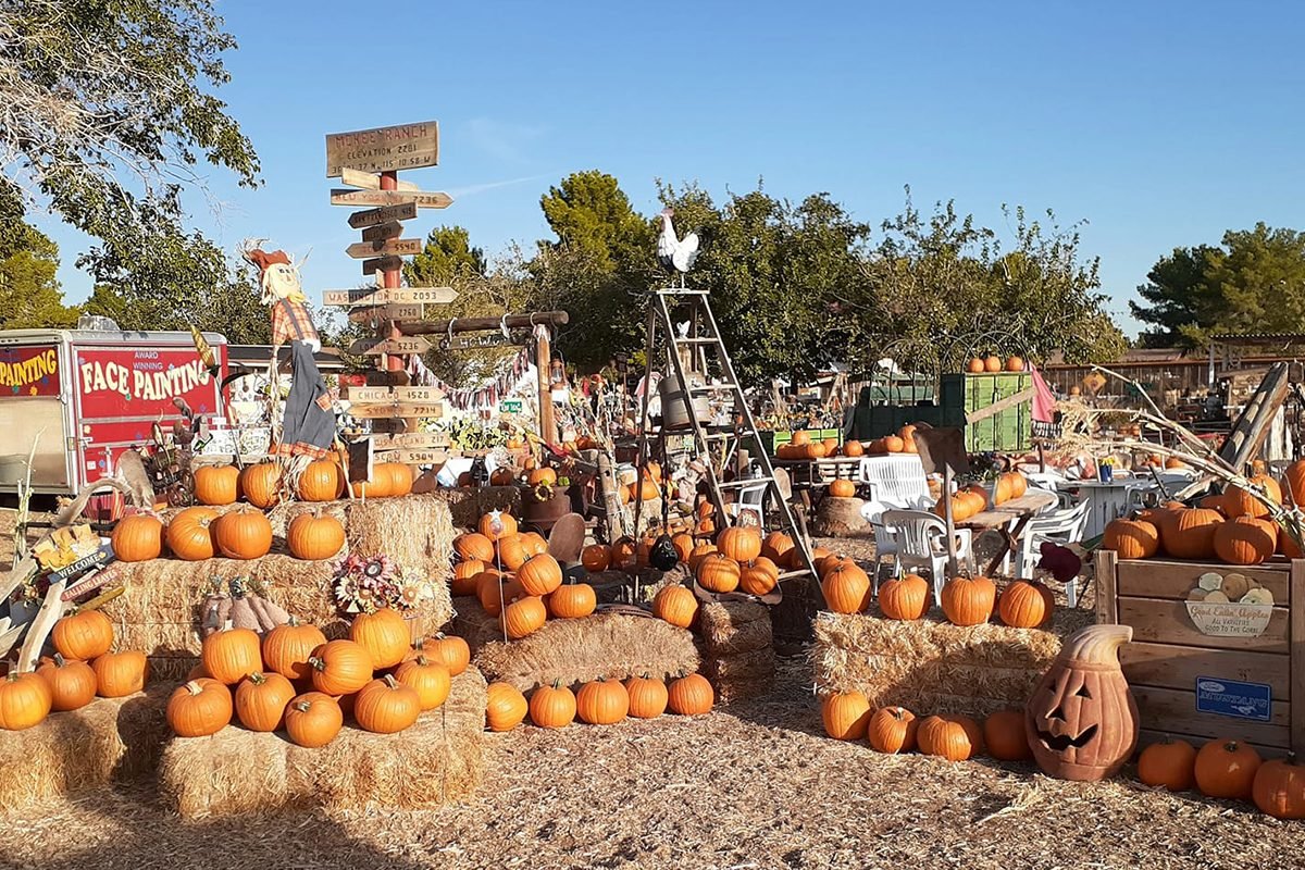 Top Pumpkin Patches Across Every U.S. State