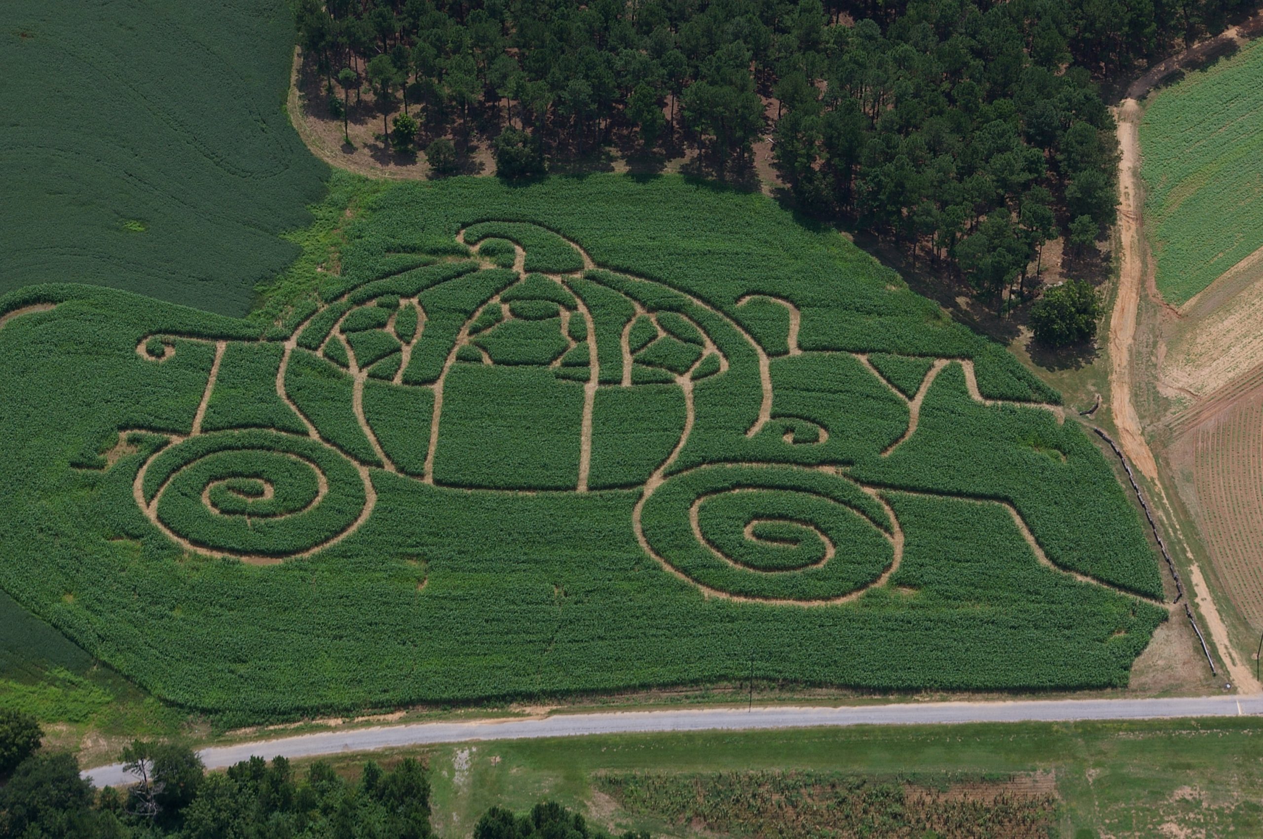 Top Pumpkin Patches Across Every U.S. State
