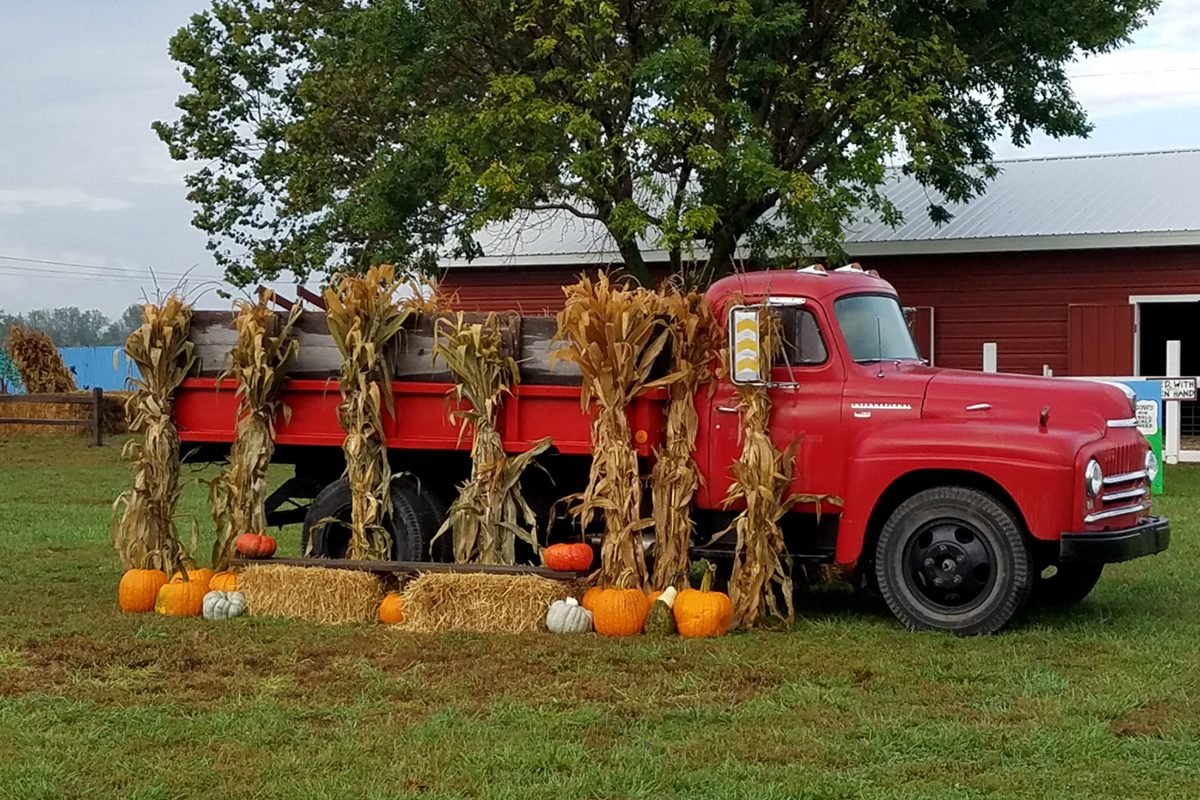 Top Pumpkin Patches Across Every U.S. State