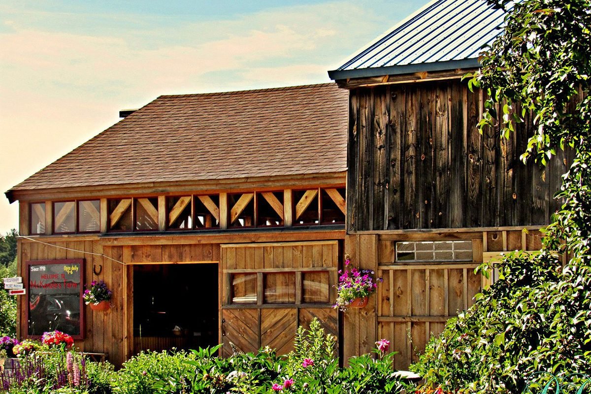 Top Pumpkin Patches Across Every U.S. State