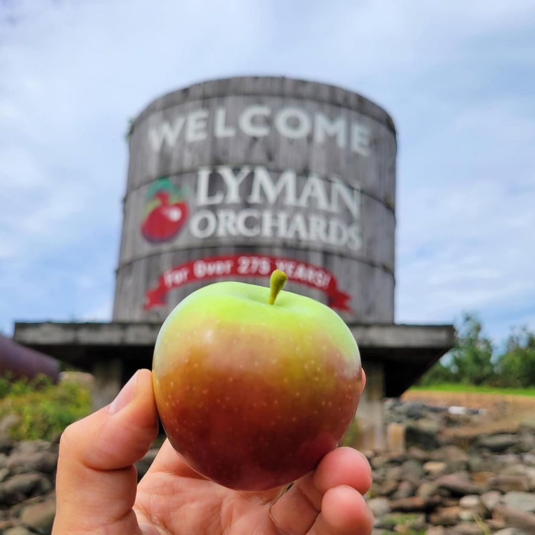 Top Apple‑Picking Destinations Across All 50 States