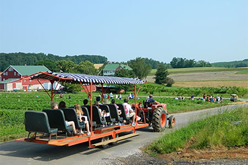 Top Apple‑Picking Destinations Across All 50 States