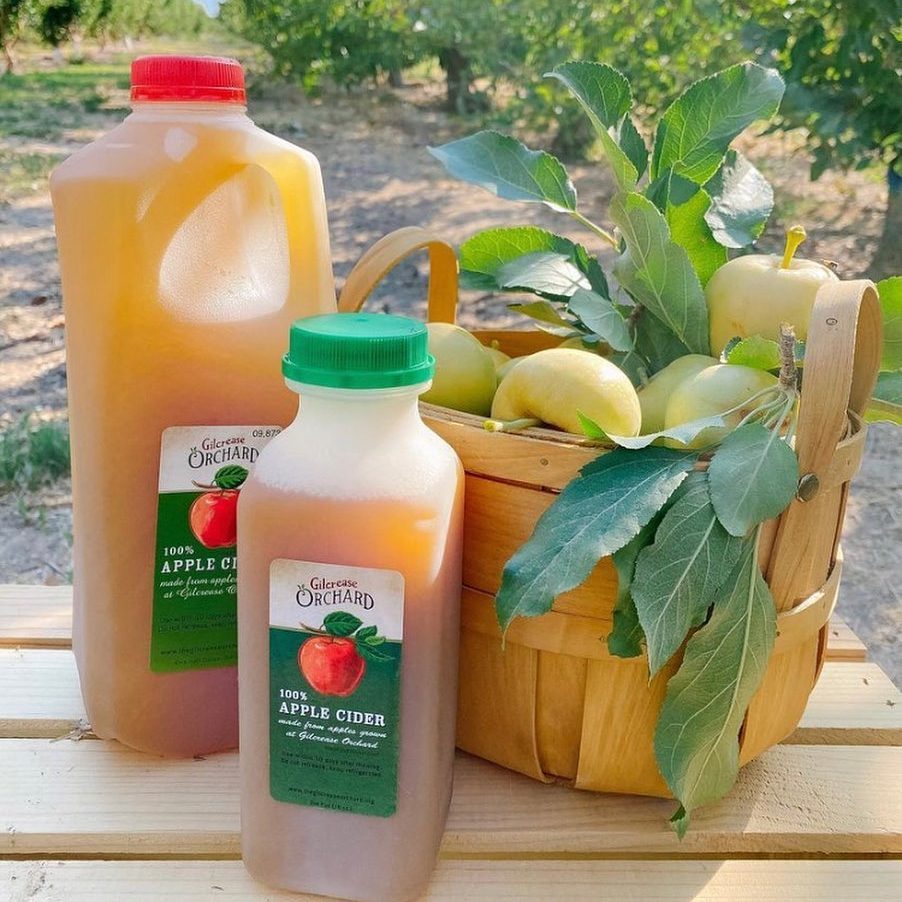 Top Apple‑Picking Destinations Across All 50 States