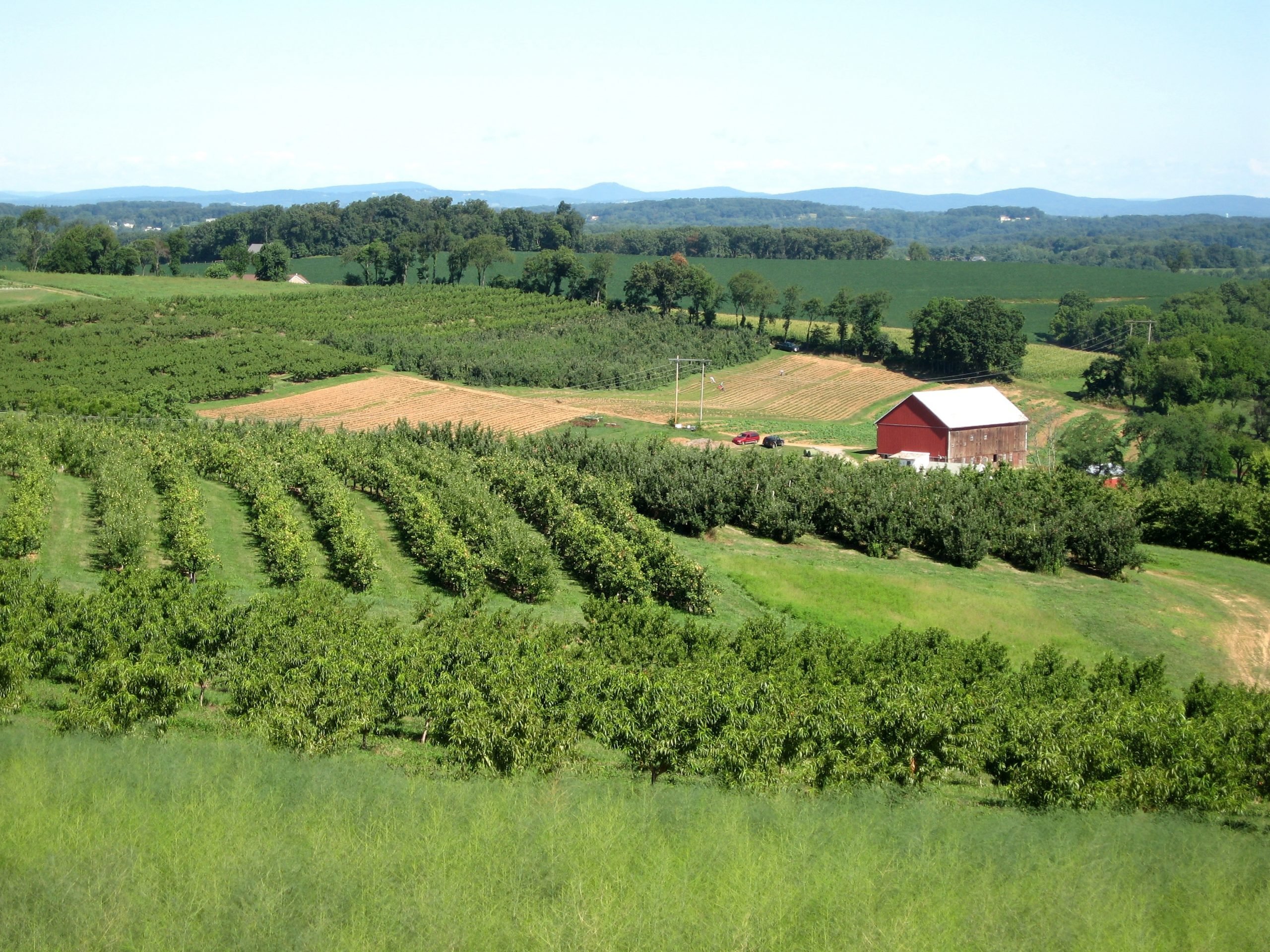 Top Apple‑Picking Destinations Across All 50 States