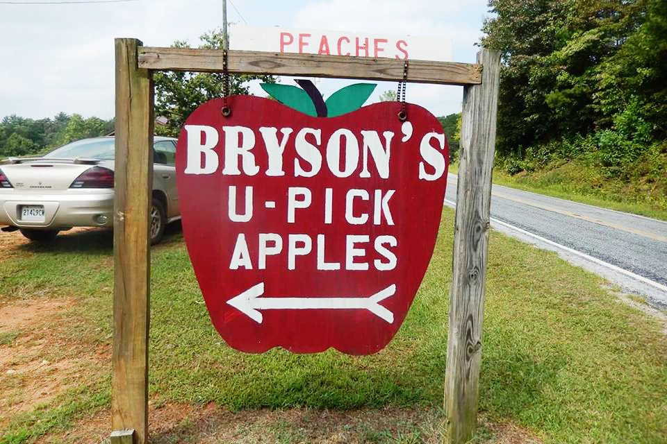 Top Apple‑Picking Destinations Across All 50 States