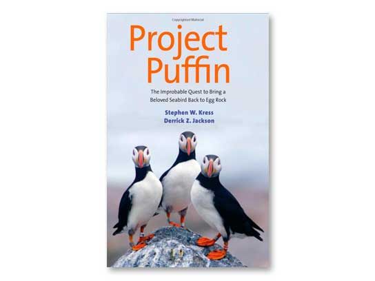 Captivating Maine Puffin Photographs That Inspire Hope for Wildlife