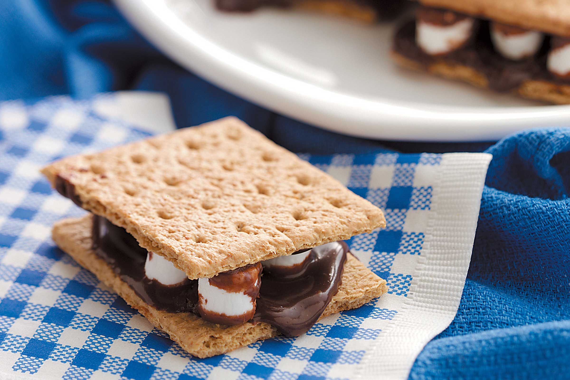 19 Innovative S mores Recipes for a Fresh Twist