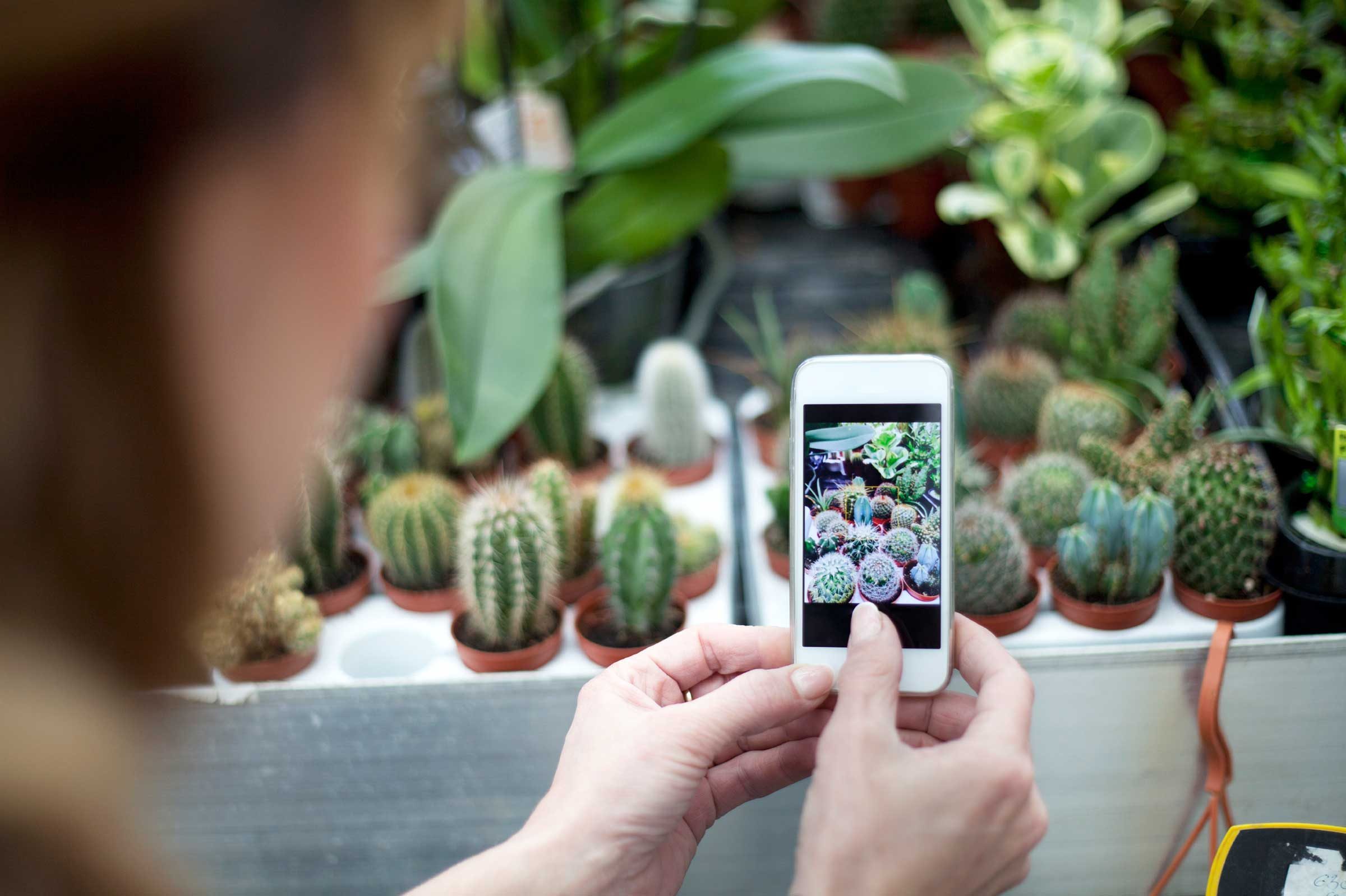 10 Innovative Ways to Use Your Phone Camera You Probably Didn t Know