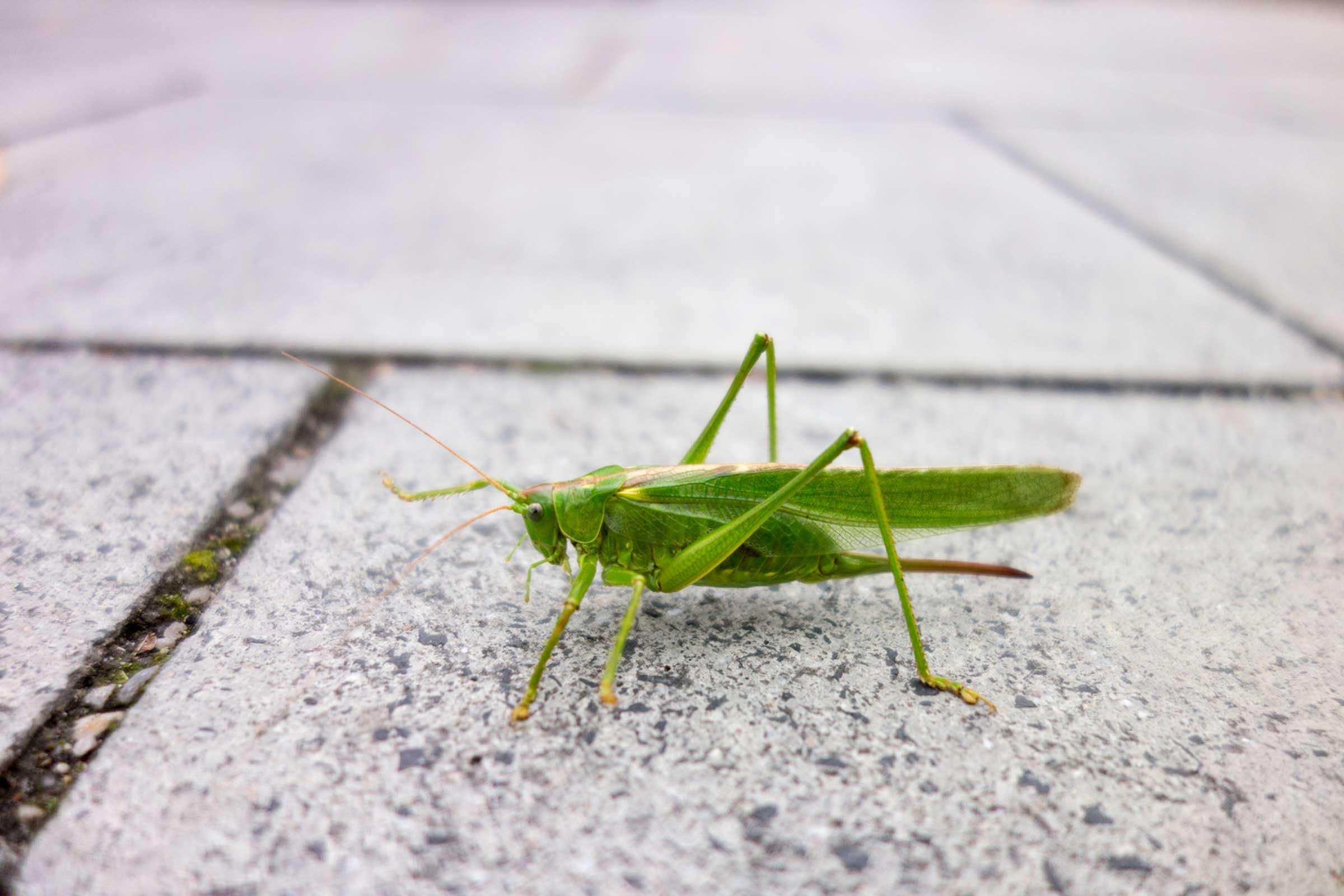 4 Reliable Ways to Forecast Weather Without an App