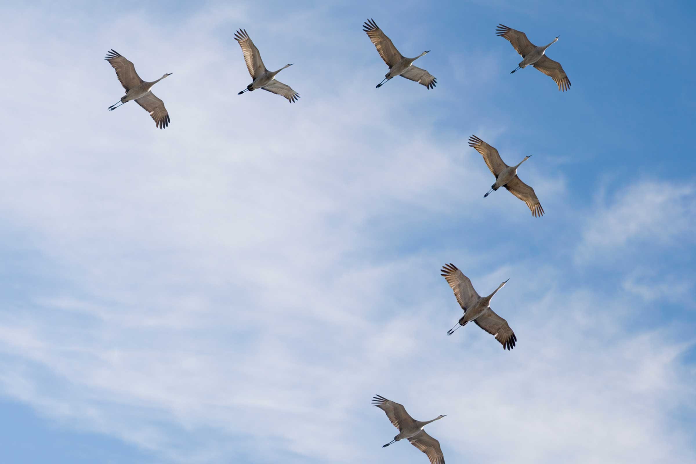 4 Reliable Ways to Forecast Weather Without an App