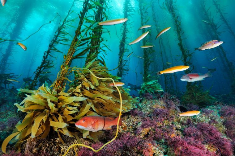 Explore 12 Stunning National Geographic Landscape Photos That Will Inspire Awe