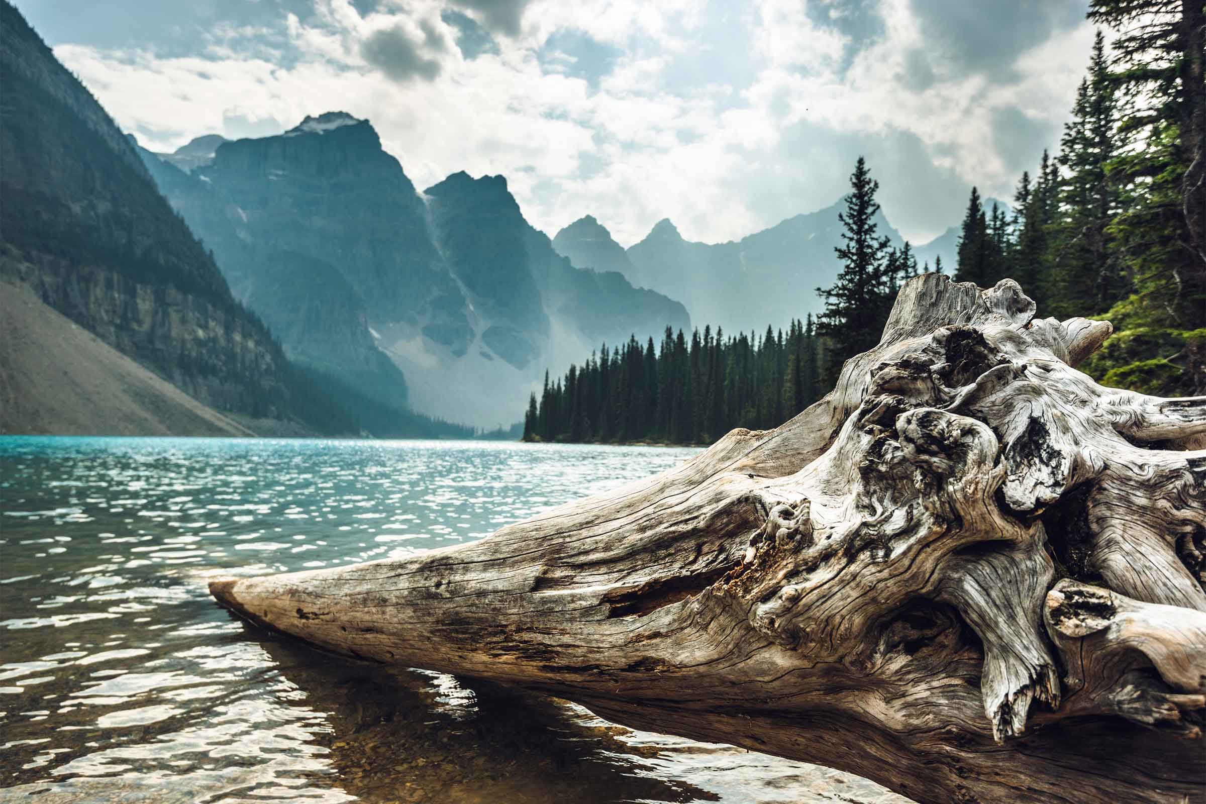 Capture Postcard-Perfect Photos with Your Smartphone: Expert Tricks