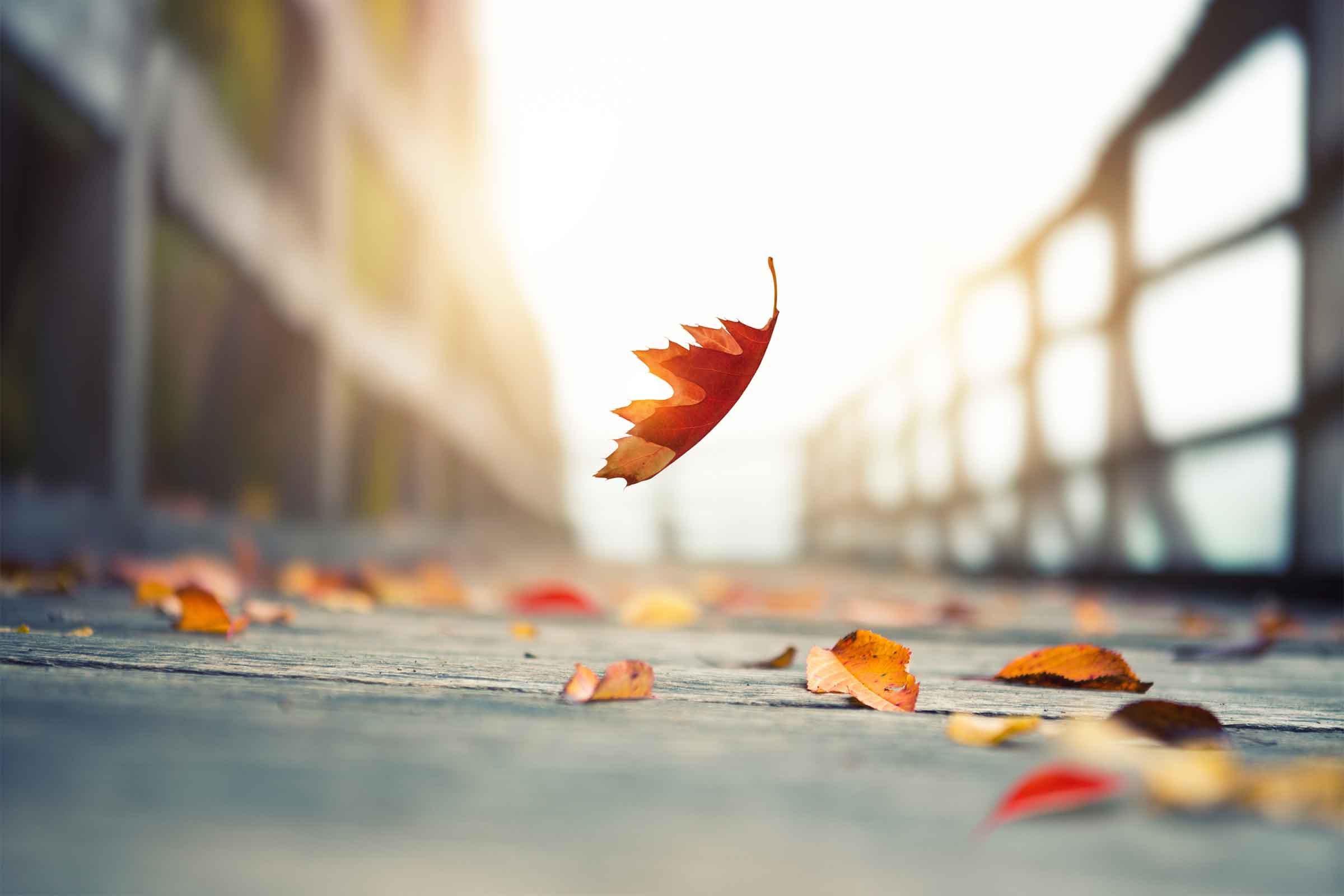 Capture Postcard-Perfect Photos with Your Smartphone: Expert Tricks