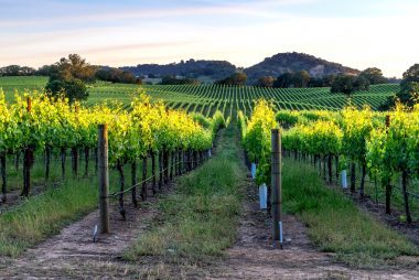 Discover What Your Dream Vacation Says About Your Personality