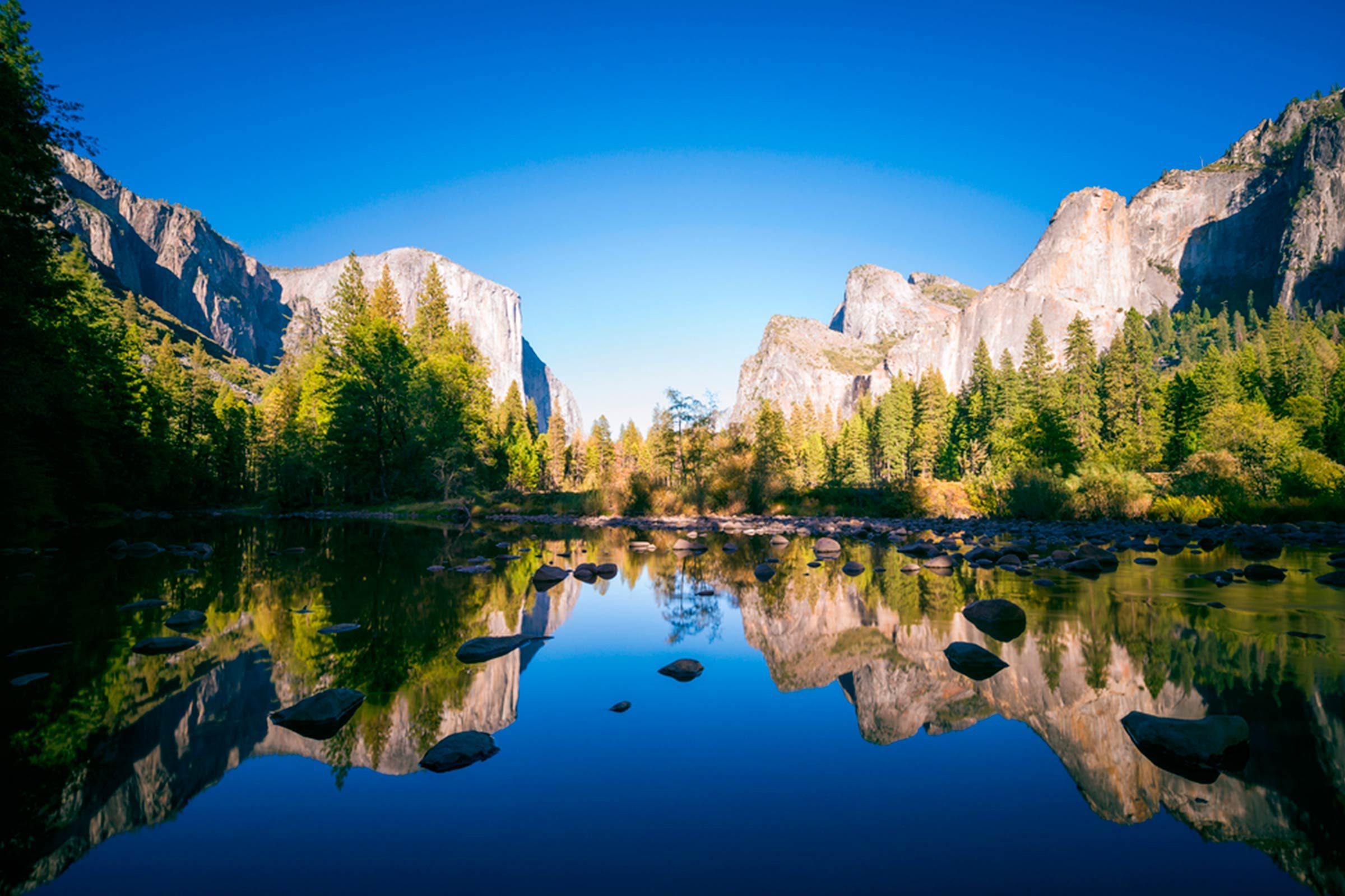 Explore 12 National Parks Perfect for Traveling with Your Dog