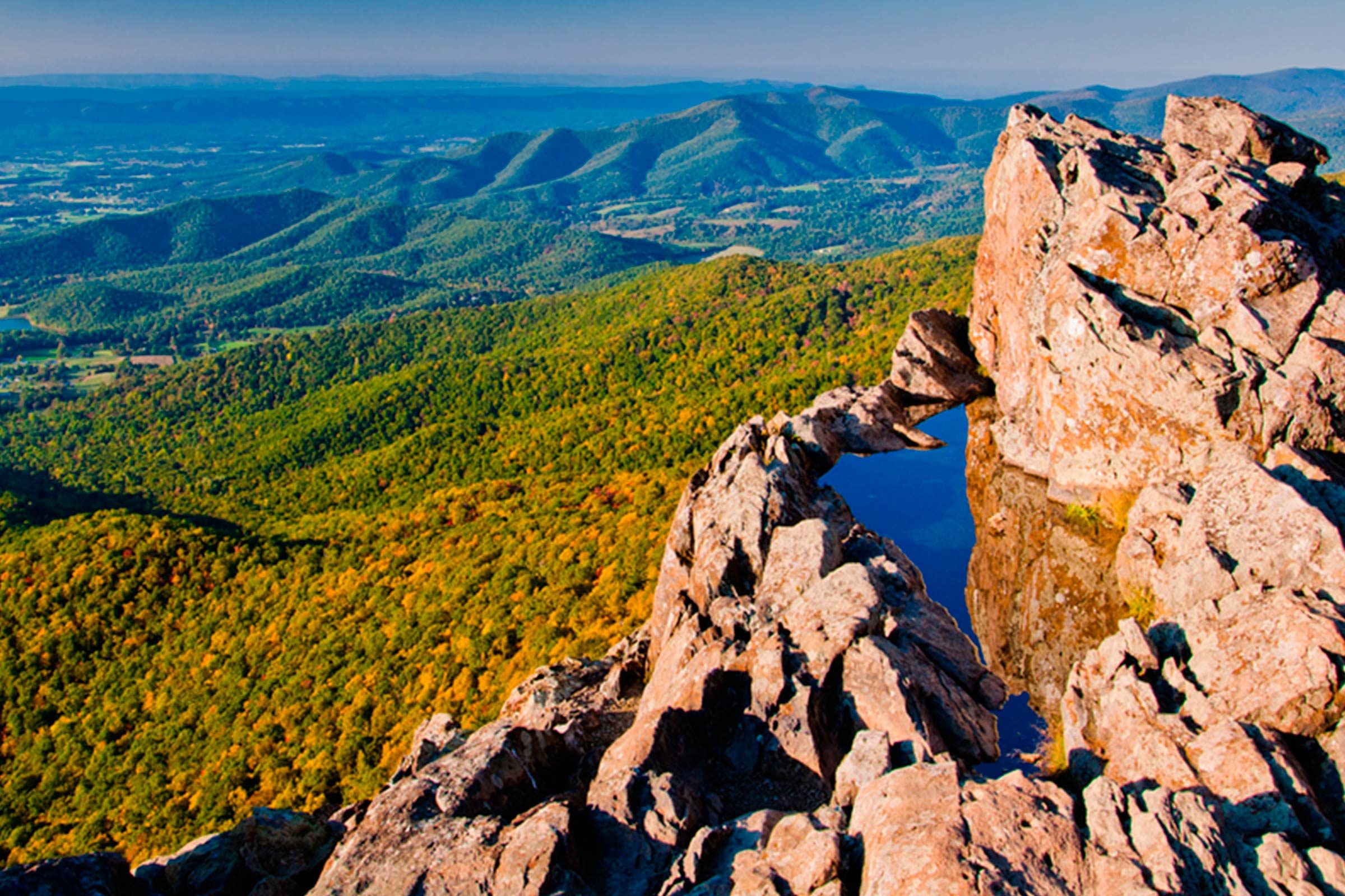 Explore 12 National Parks Perfect for Traveling with Your Dog