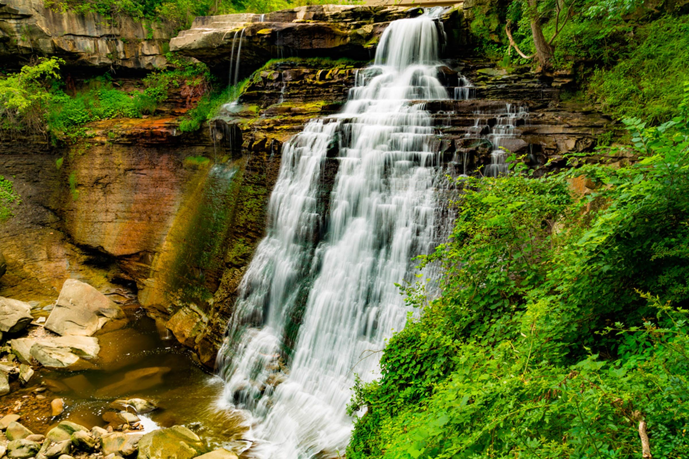 Explore 12 National Parks Perfect for Traveling with Your Dog