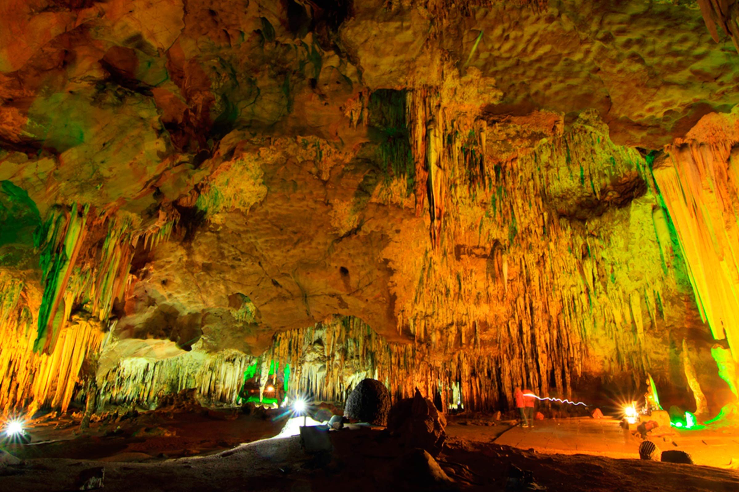 Explore 12 National Parks Perfect for Traveling with Your Dog