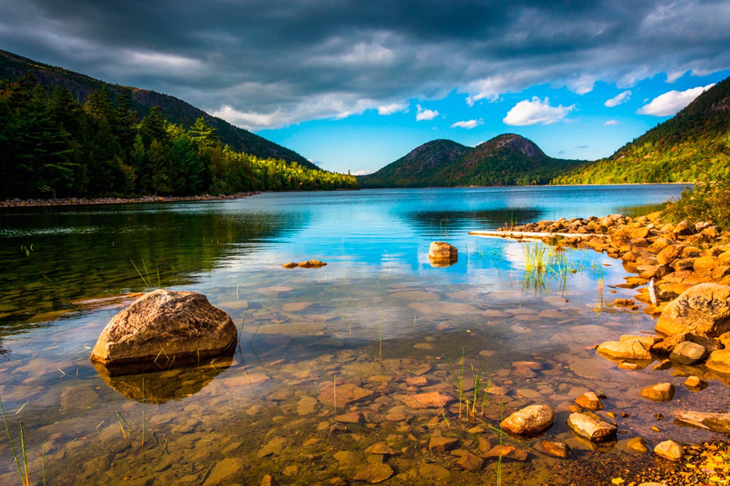 Explore 12 National Parks Perfect for Traveling with Your Dog