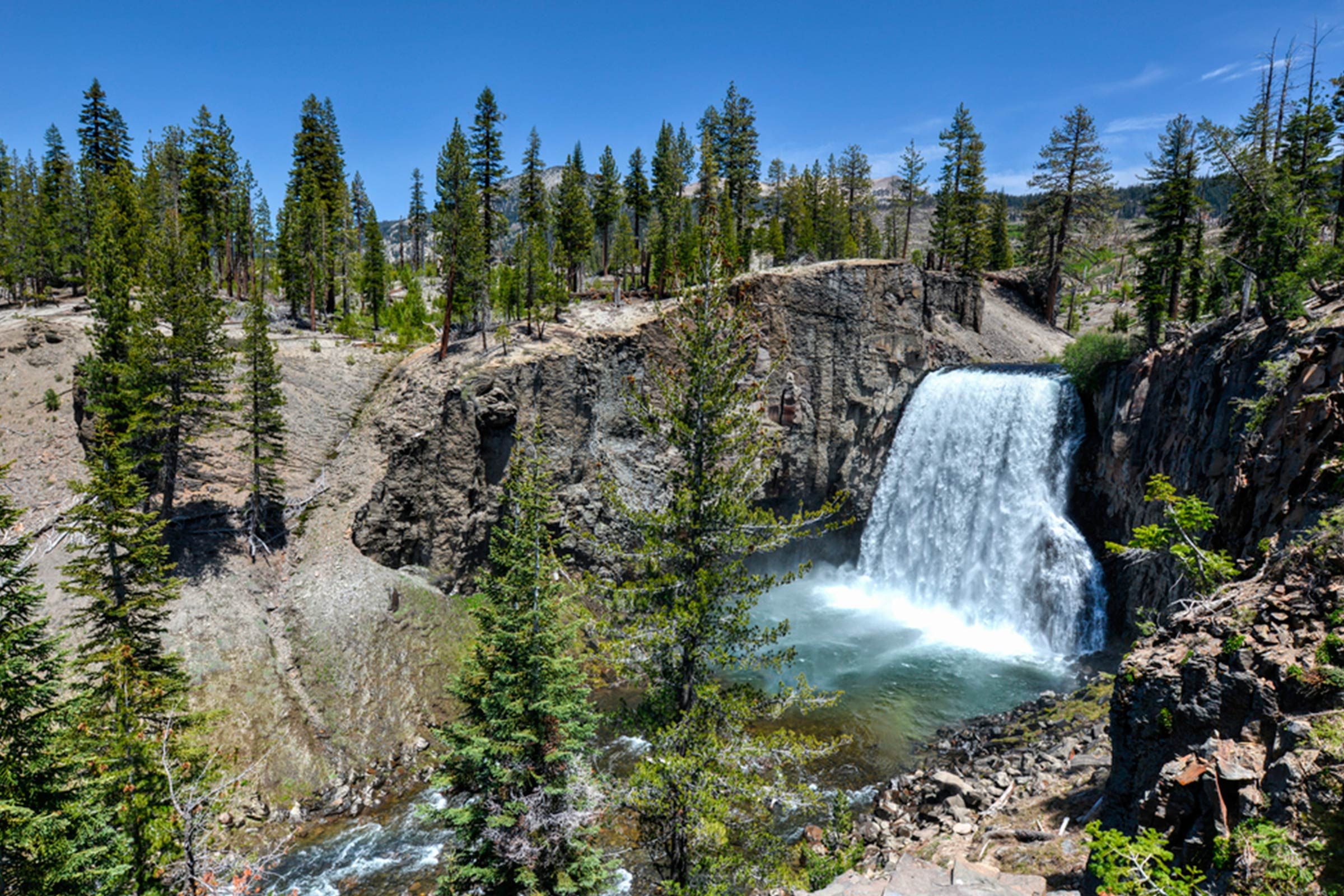 Explore 12 National Parks Perfect for Traveling with Your Dog